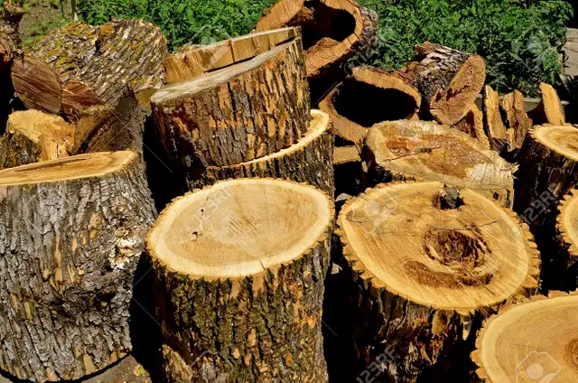 Free Wood! Looking for sites to dump wood at from tree removals