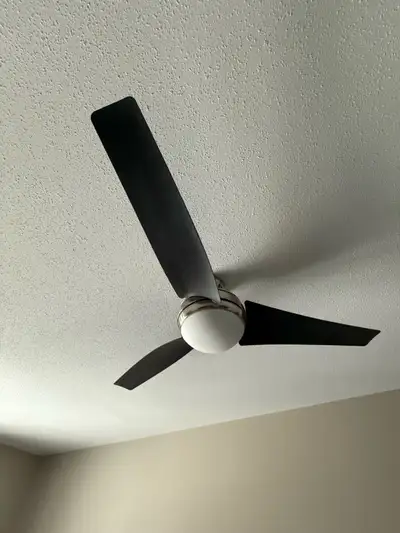 Ceiling fan, View more