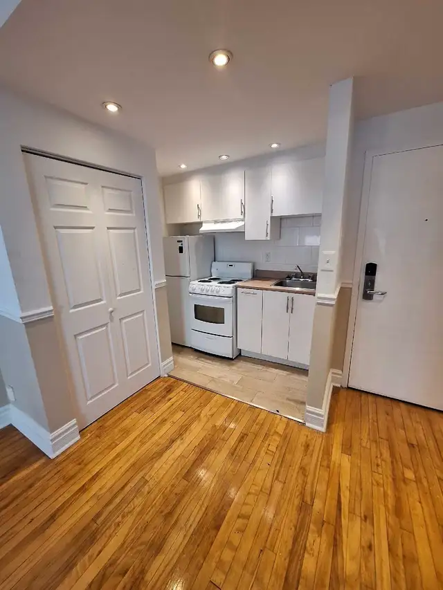 Downtown Plateau 3.5 apt. On clark st/ prince-arthur63860084122883120