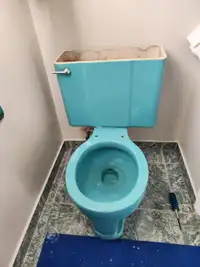 Vintage toilet and tub