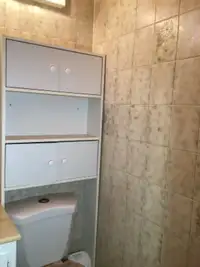 Bathroom cabinet over the toilet