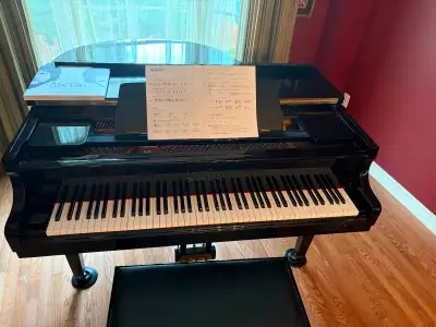 Baby Grand for Sale, View more