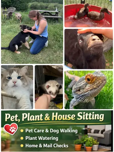 House, Pet, and Plant Sitter, View more
