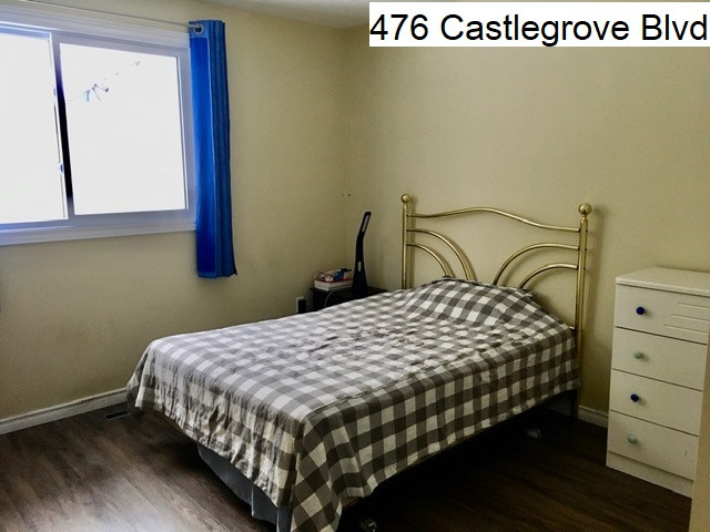 Walking distance to UWO student house for rent in Room Rentals & Roommates in London - Image 3