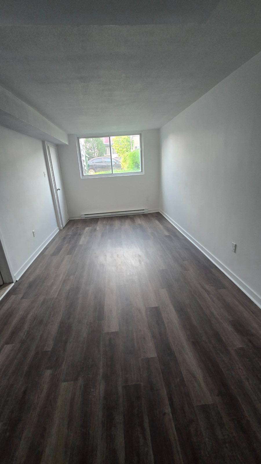 Beautiful Bachelor Basememt in LaSalle – Newly Renovated! — photo 1