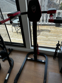 Dips / pull up / push up/ abs station
