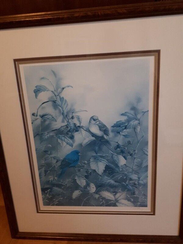 Clung Limited Edition 'Bluebird on Raspberry Bush' Framed Print in Arts & Collectibles in City of Toronto