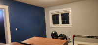 Professional Painter with reasonable price