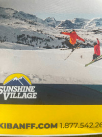 Two Sunshine Village ski passes for sale.
