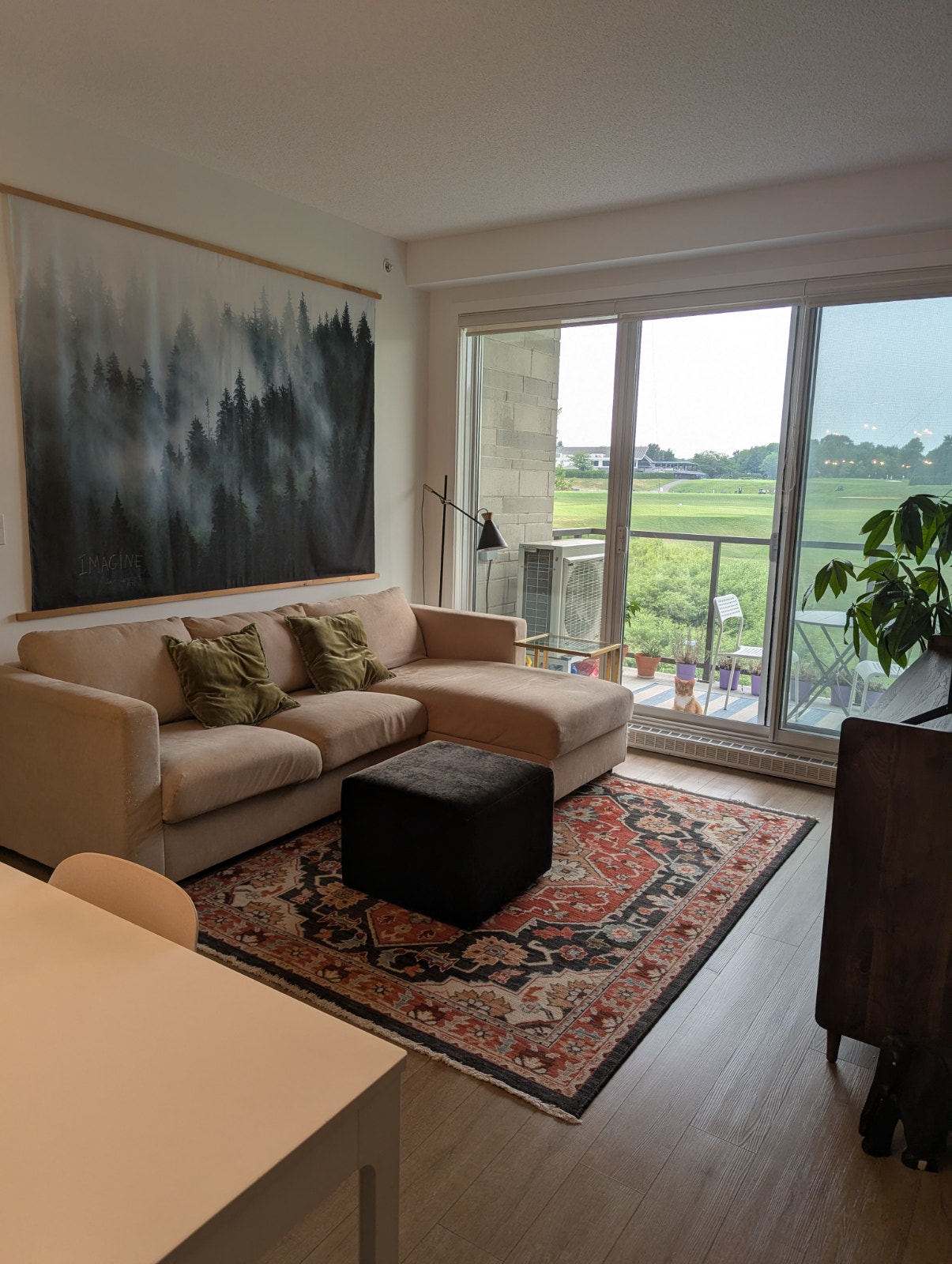 CONDO 4 1/2 + SALLE D'EAU - A LOUER — photo 1