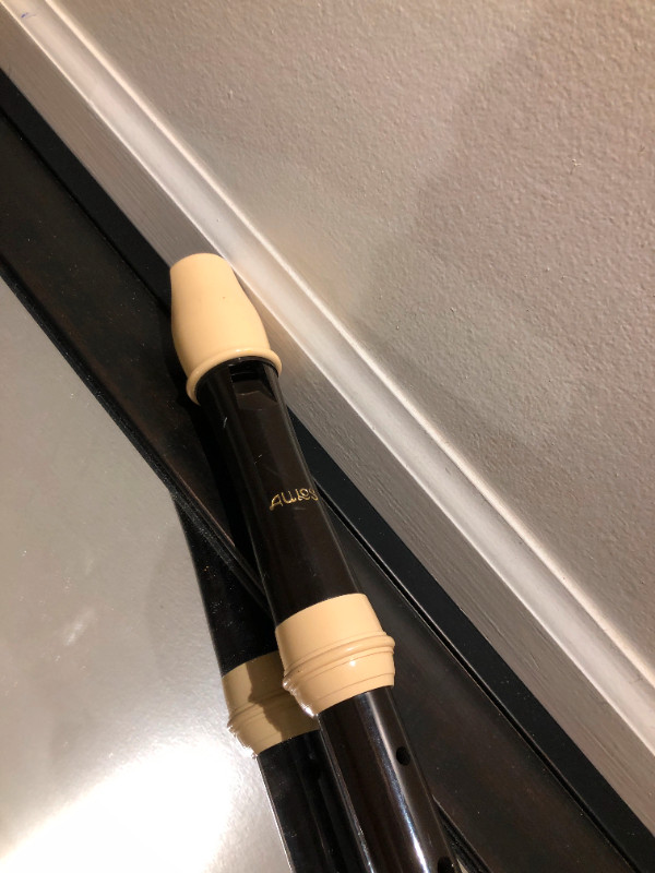 Aulos*Yamaha*Zamir Recorder in Woodwind in Vancouver - Image 2