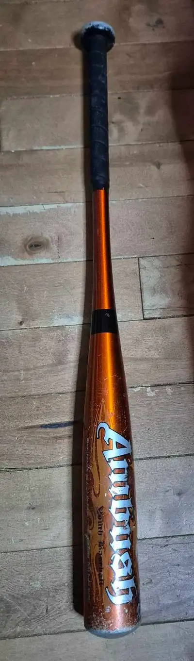 Rawlings Ambush -8 Youth Baseball Bat YB1AM2 2 1/4" x 29” 21oz, View more