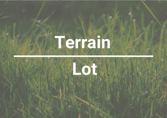 TERRAIN A VENDRE LAURENTIDES, QC (SAINTE MARGUERITE) — photo 1
