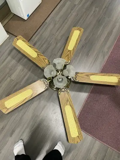 Ceiling fan, View more