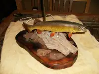 VERY RARE HAND CARVED BLUEGILL / PIKE / MUSKIE LAMPS BILL SITTER