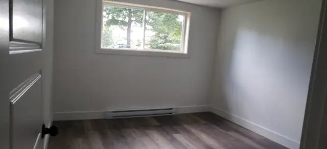 VIEUX NORD, SHERBROOKE, LARGE 4 1/2 REPAINTED / RENOVATED..PARK63849107589251122