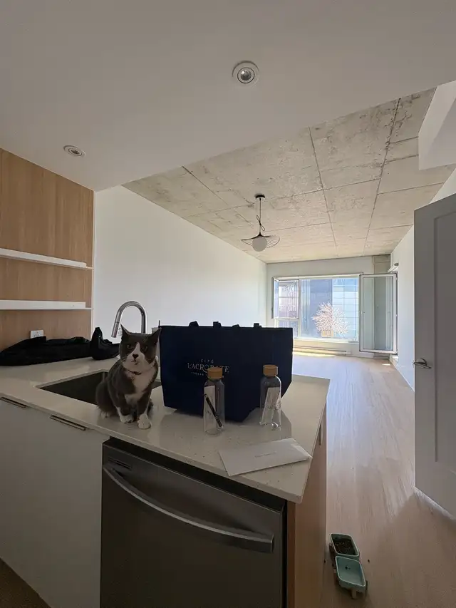 Bed / 1 Bath – Lease Transfer (Nov 1) 