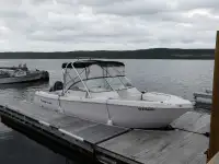 Proline Boat for Sale