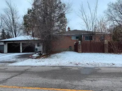 Spacious 3 bedrooms banglow in a quite neighborhood, near Yonge and Egin Mills in Richmond Hill, gro...
