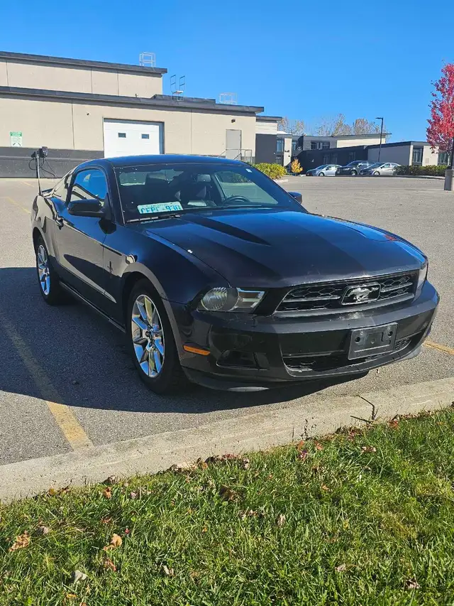 2010 Ford Mustang V6 3.7L Auto
