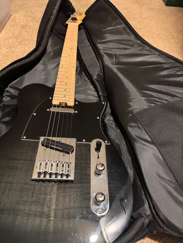 Electric Guitar in Guitars in Delta/Surrey/Langley - Image 3
