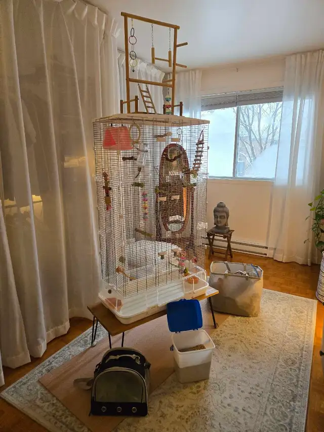 Très grande cage pour oiseaux toute équipée in Other in Longueuil / South Shore - Image 3