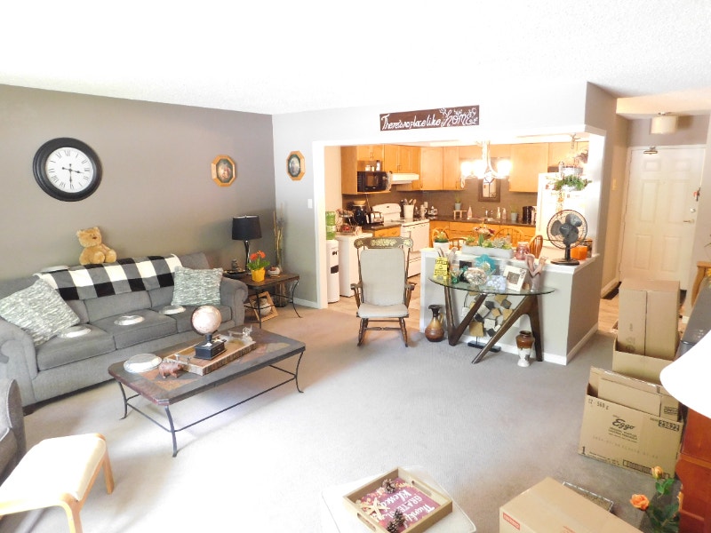 2 Bed 1 Bath Condo Apartment For Rent in Mount Forest Long Term