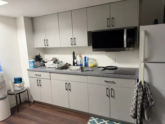 1-BEDROOM BASEMENT FOR RENT - AVAILABLE JANUARY 2027 in Room Rentals & Roommates in Winnipeg - Image 11