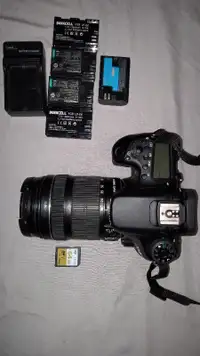 Canon 70D with 18-135mm STM Lens
