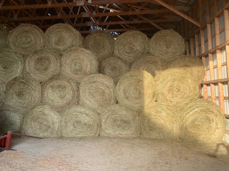 Hay for sale! 17053232582 Livestock Barrie Kijiji