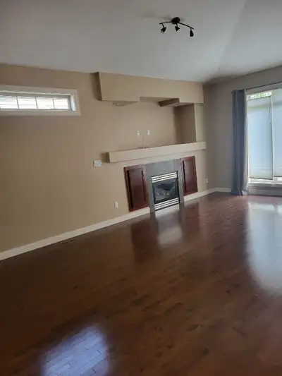 Professional Painter, View more
