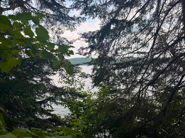 Très beau terrain bord de l'eau riverain au lac taureau — photo 1