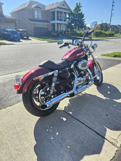 Beautiful sportster 1200xl in mint condition, amazing paint no accident and never dropped. Serviced...