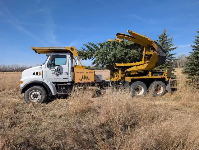 Tree Moving, Southern Alberta