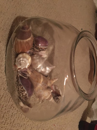 Fish Bowl with sea shells
