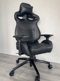 Computer/Office/Gaming Chair