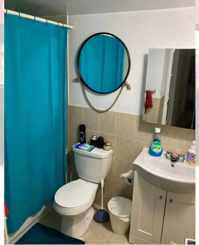 1 bedroom for rent in an Upscale Building