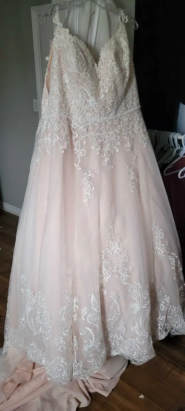 Plus Size Wedding Dress in Wedding in Cape Breton - Image 7