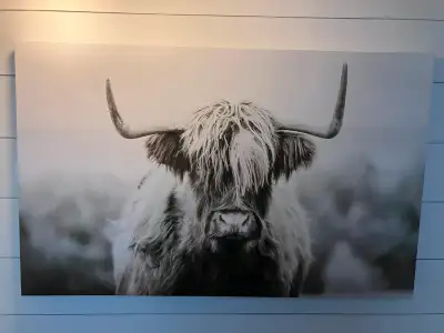 Large 45" decorative canvas - Scottish highlander, View more