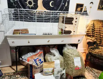 TRÈS GRANDE cage avec équipement pour lapin - Kit de départ !, View more