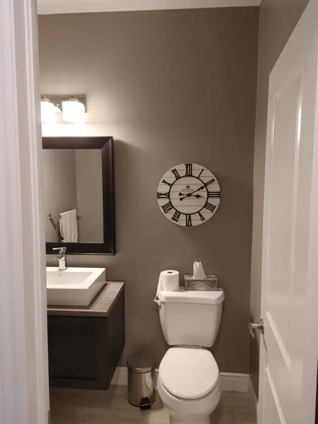 Professional painter at a fair price.426574227933777924