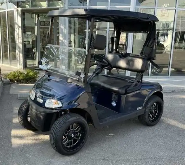 2 seat golf cart in Golf in Prince George - Image 2