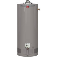 Rheem or Bradford White Water Heaters with Install