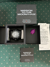 Snoopy Mission to Moonphase