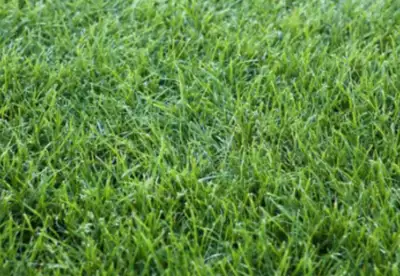 Guy mowing the grass at McMillan dental clinic , View more
