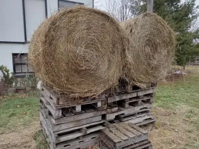 Hay, 4'x4' round bales, View more