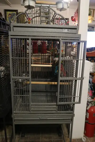 3 CAGES    A    PERROQUET, View more