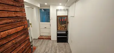 1 bedroom amazingly brand new apartment in the Junction