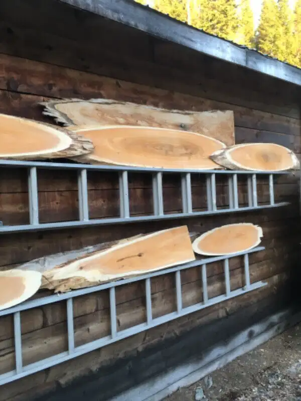 Enseigne Bois Cèdre live edge in Arts & Collectibles in Edmundston - Image 11