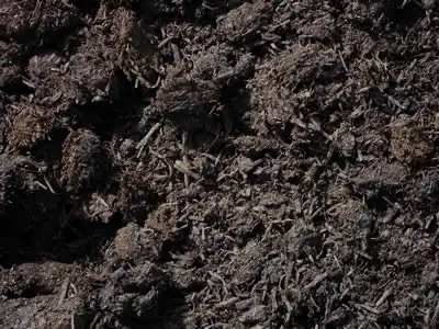 Premium mushroom manure for your garden •, View more
